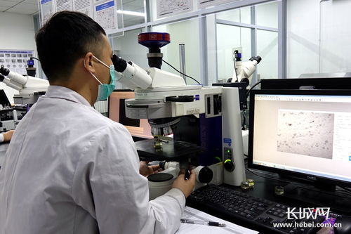 四通新材 防控生產(chǎn)雙驅(qū)動(dòng)，國內(nèi)外訂單全面恢復(fù)，新材料研發(fā)蓄力未來